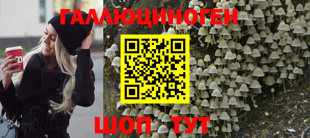 Галлюциногенные грибы GOLDEN TEACHER Коммунар