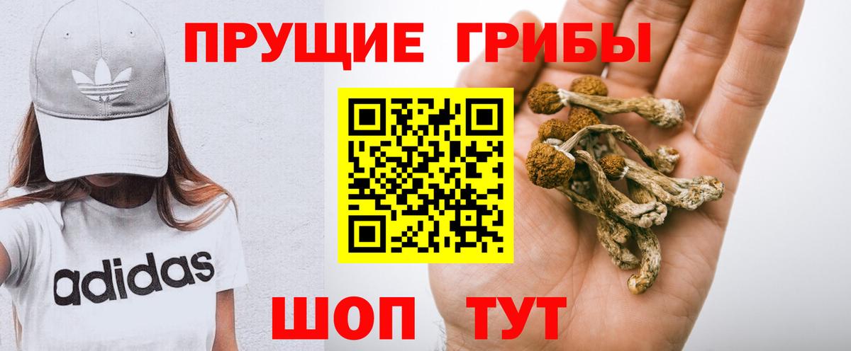 Коммунар  где купить наркотик  Галлюциногенные грибы Magic Shrooms  Вход с VPN  Галлюциногенные грибы MAGIC MUSHROOMS 